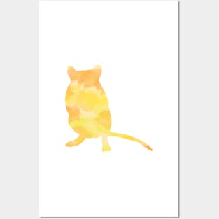 Yellow watercolour gerbil Posters and Art